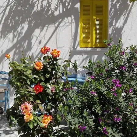 Artist Rooms - Triantafyllou Birth House Kefalos  Exterior photo
